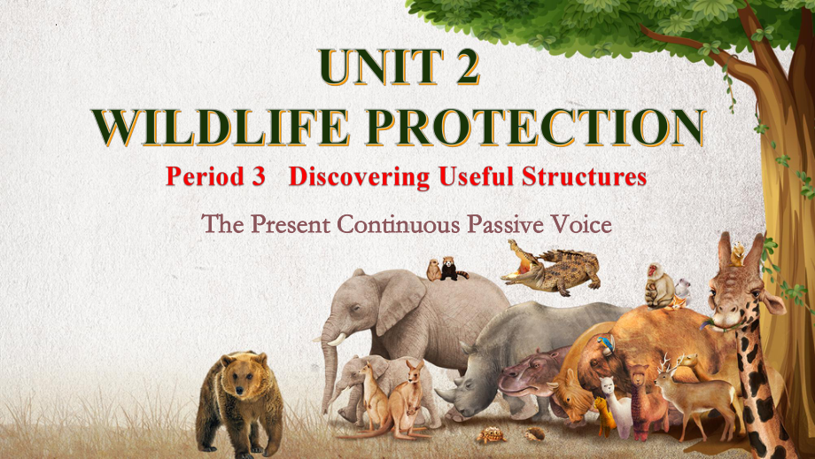 Unit 2 Wildlife Protection Discovering Useful Structures （ppt课件）-2024新人教版（2019）《高中英语》必修第二册.pptx_第1页