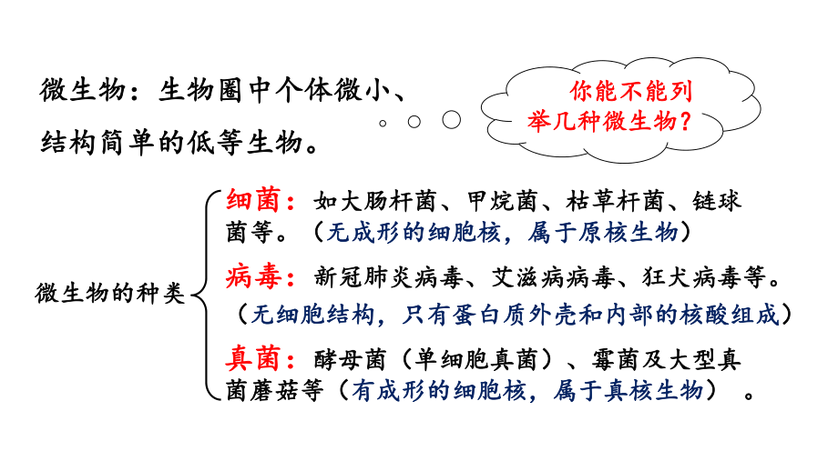 5.4 微生物在生物圈中的作用 课件 冀少版生物八年级上册.pptx_第3页