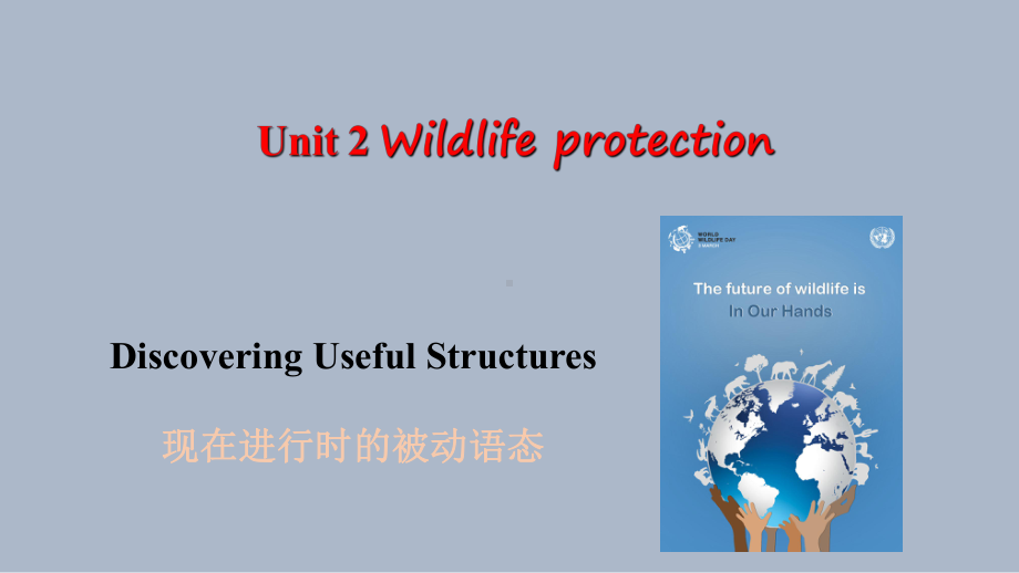 Unit 2 Wildlife protection Discovering Useful Structures （ppt课件）高中-2024新人教版（2019）《高中英语》必修第二册.pptx_第1页