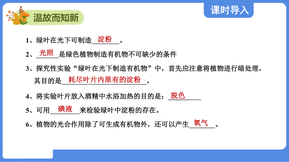 3.3.2 光合作用的原料课件 冀少版生物八年级上册.pptx_第2页