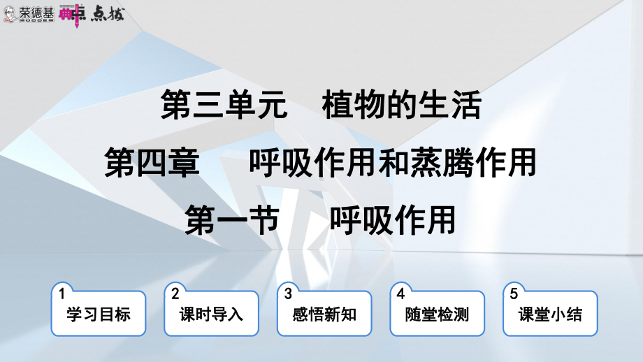 3.4.1 呼吸作用课件 冀少版生物八年级上册.pptx_第2页