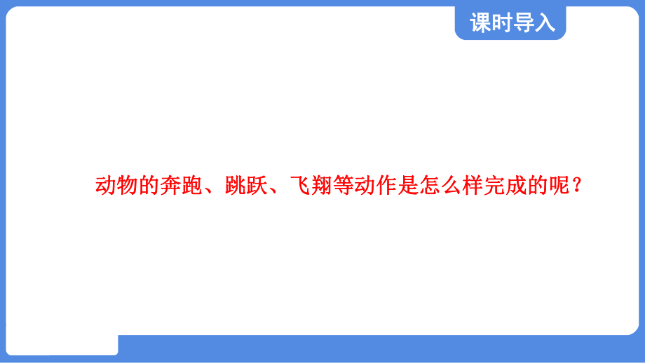 4.1.2 运动的完成课件 冀少版生物八年级上册.pptx_第2页