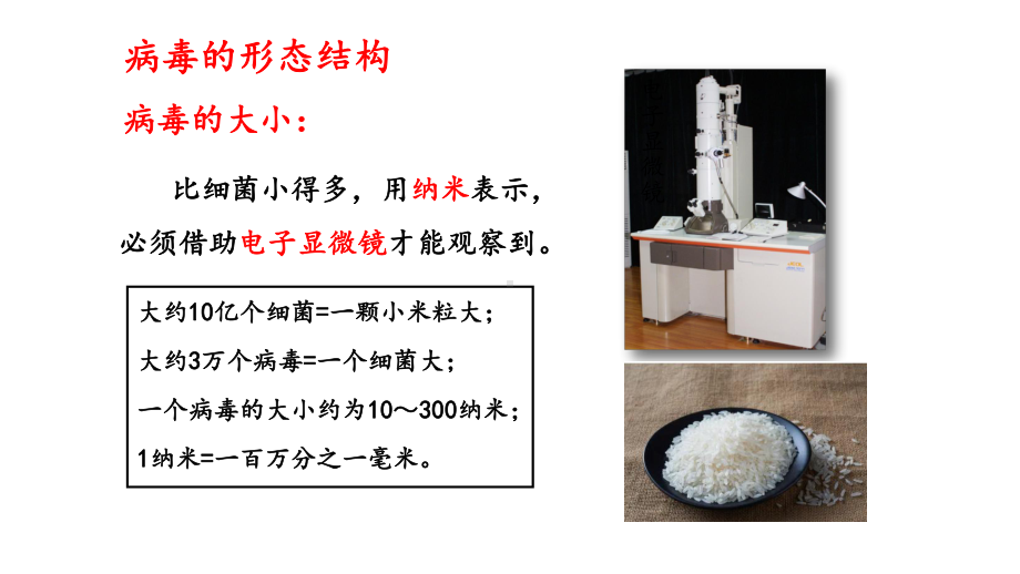 5.1.2 病毒 课件 冀少版生物八年级上册.pptx_第3页