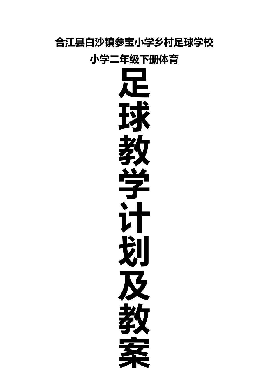 合江县白沙镇参宝小学乡村足球学校小学二年级下册体育教学计划及教案.doc_第1页