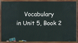 Unit 5 Music Words and expressions（ppt课件） -2024新人教版（2019）《高中英语》必修第二册.pptx