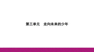 九年级下册第三单元 走向未来的少年 复习-2024年中考道德与法治一轮教材基础复习 ppt课件-2024年中考道德与法治复习.pptx