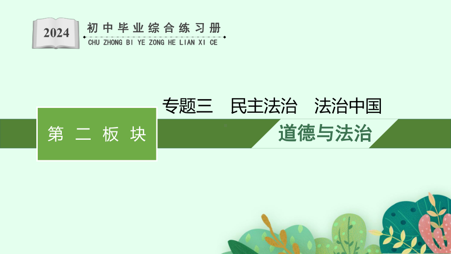 专题三 民主法治 法治中国 复习-2024年中考道德与法治二轮复习 ppt课件-2024年中考道德与法治复习.pptx_第1页