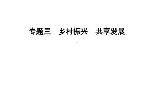 专题三 乡村振兴 共享发展 复习-2024年中考道德与法治二轮专题复习 ppt课件-2024年中考道德与法治复习.pptx