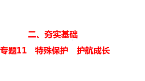 专题十一 特殊保护 护航成长 -2024年中考道德与法治一轮知识点梳理复习 ppt课件-2024年中考道德与法治复习.pptx