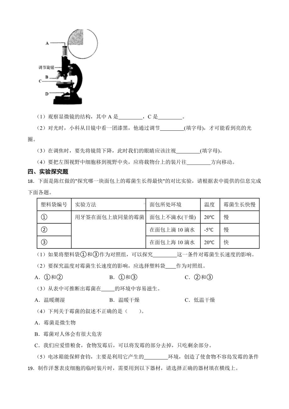 2024新粤教粤科版五年级下册《科学》第二单元微观生命世界综合训练（含解析）.docx_第3页