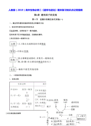 人教版（2019）高中生物必修二《遗传与进化》期末复习知识点记背提纲（实用必备！）.docx