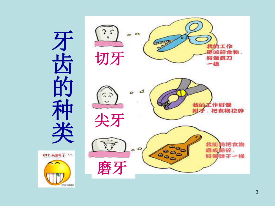 如何预防儿童龋齿(课堂PPT).ppt_第3页