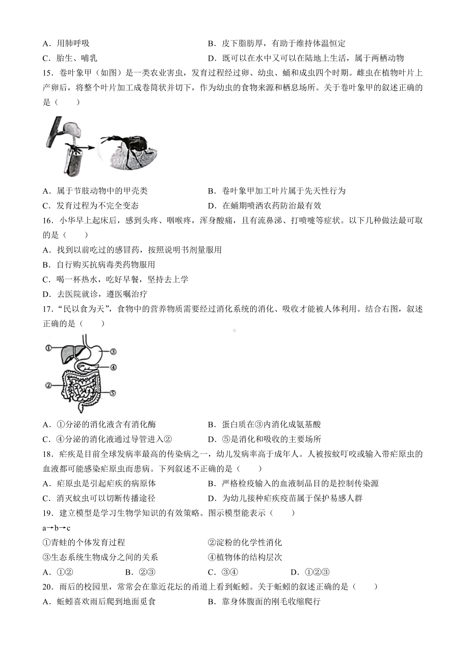 [真题]2024年山东省烟台市中考生物试题(无答案).docx-免费下载_第3页