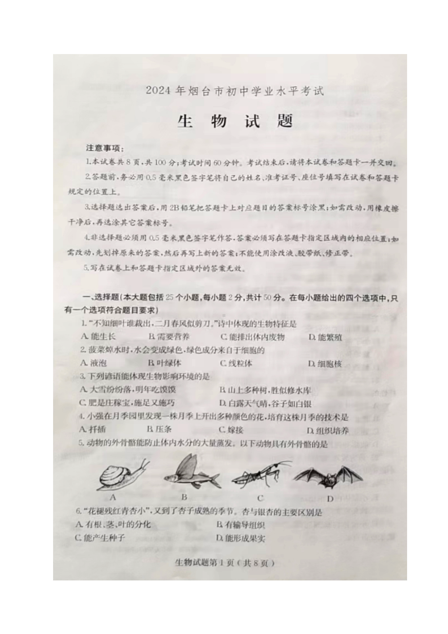 [真题]2024年山东省烟台市中考生物真题试卷（图片版无答案）.doc-免费下载-免费下载_第1页