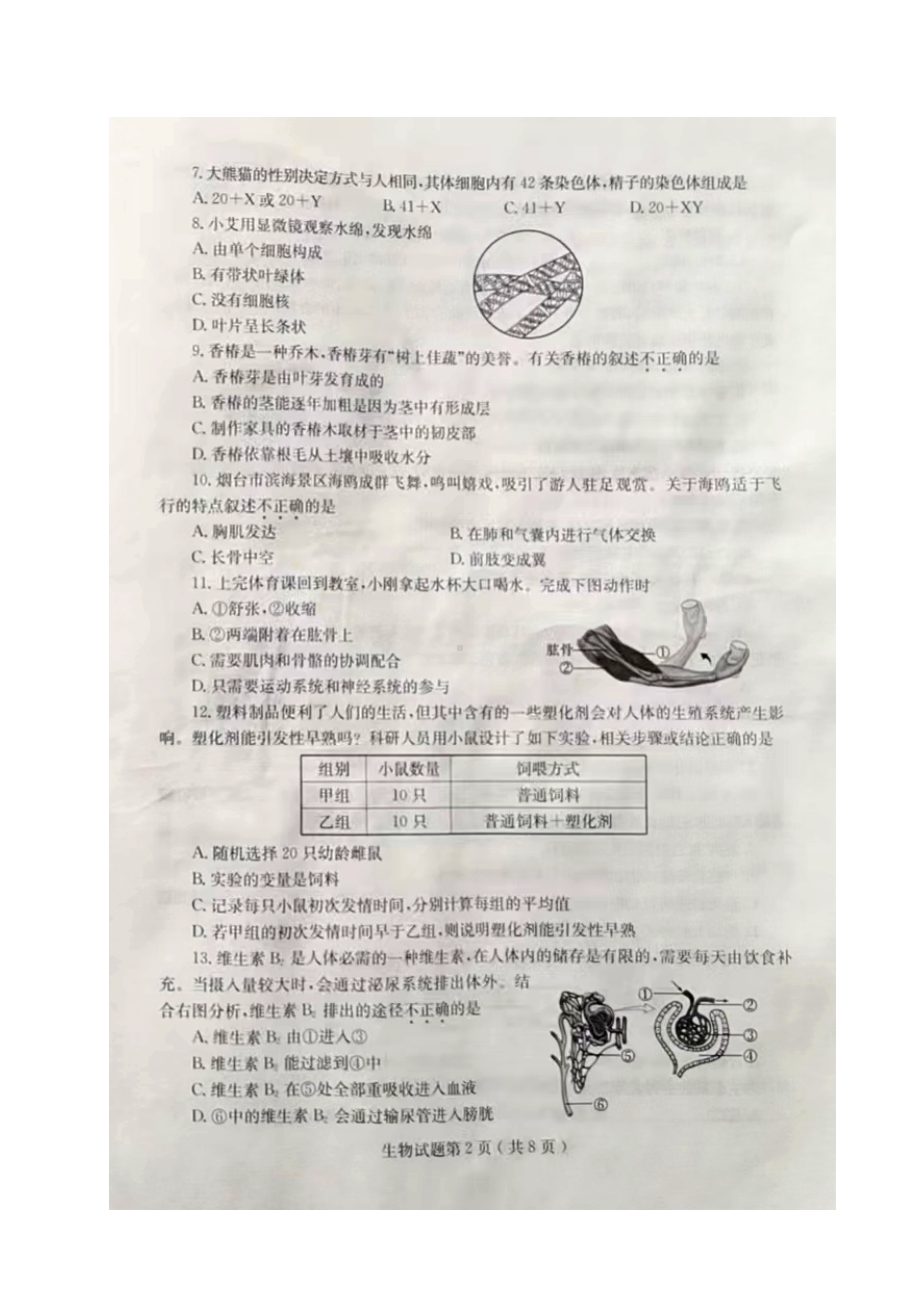 [真题]2024年山东省烟台市中考生物真题试卷（图片版无答案）.doc-免费下载-免费下载_第2页