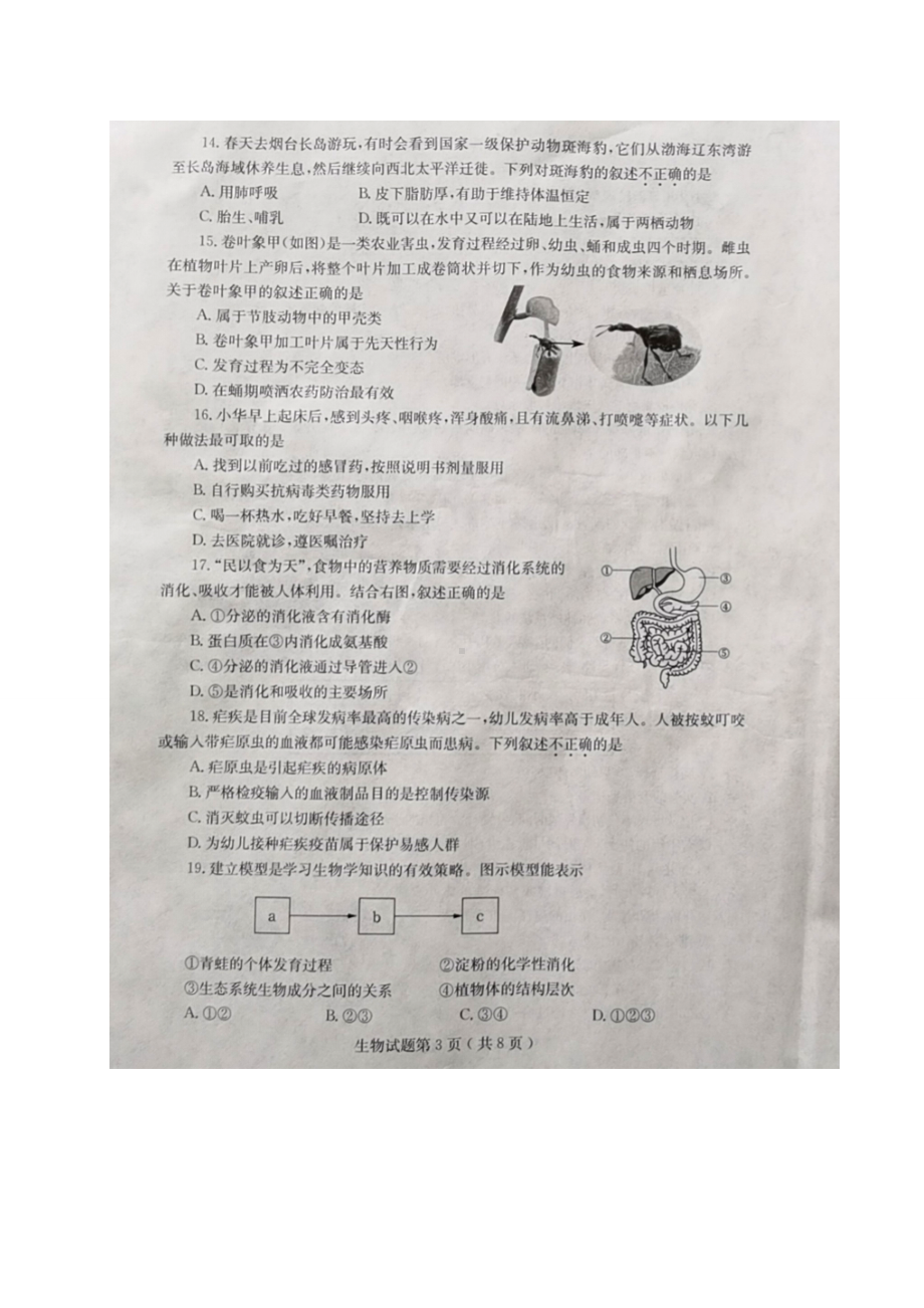 [真题]2024年山东省烟台市中考生物真题试卷（图片版无答案）.doc-免费下载-免费下载_第3页