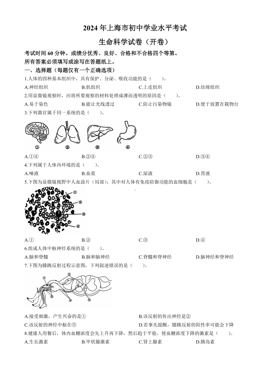 [真题]2024年上海市中考生物真题试题(无答案).docx-免费下载_第1页