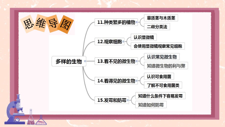 2024新冀人版五年级下册《科学》第四单元 多样的生物 复习ppt课件（17张PPT）.pptx_第2页