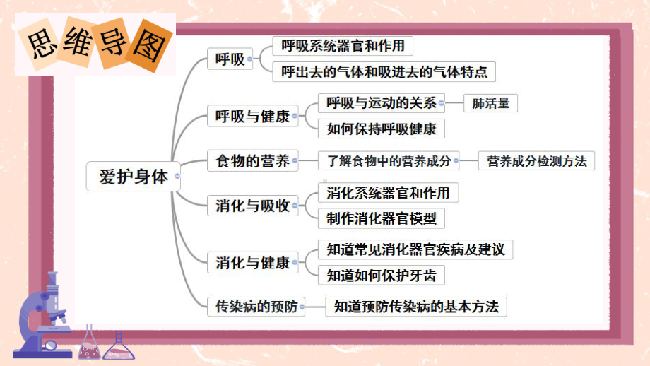 2024新冀人版四年级下册《科学》第四单元 爱护身体 复习ppt课件（19张PPT）.pptx_第2页