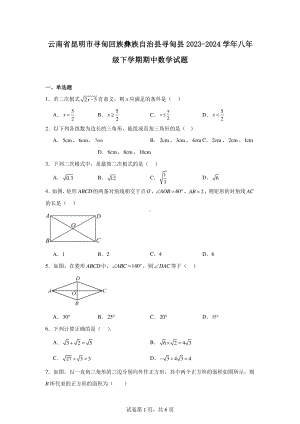 云南省昆明市寻甸回族彝族自治县寻甸县2023-2024学年八年级下学期期中数学试题.pdf