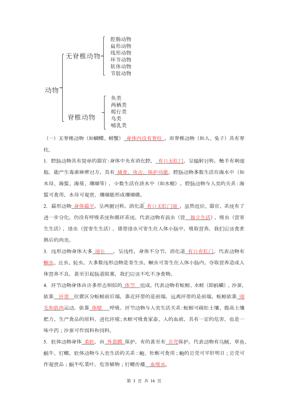 苏教版八年级上册生物期末复习全册知识点提纲（实用必备！）.docx_第3页