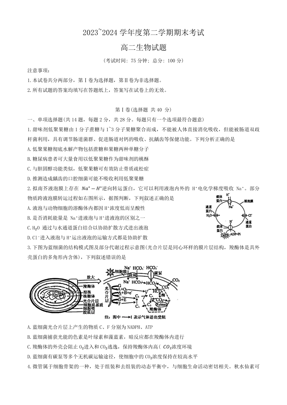 江苏省泰州市2023-2024学年高二下学期6月期末考试生物试题.docx_第1页