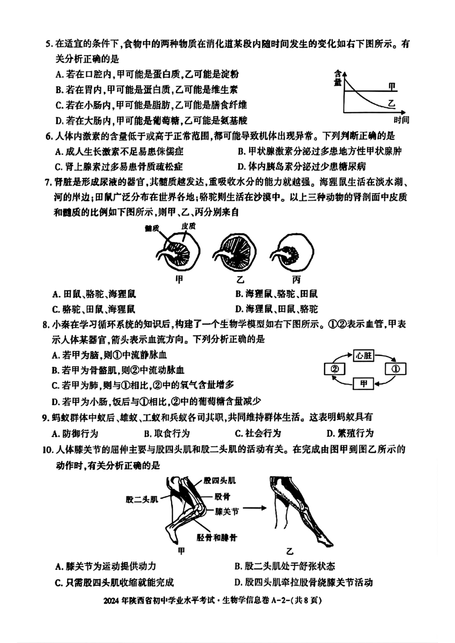 [真题]2024年陕西省中考生物试题（pdf版含解析）.pdf_第2页