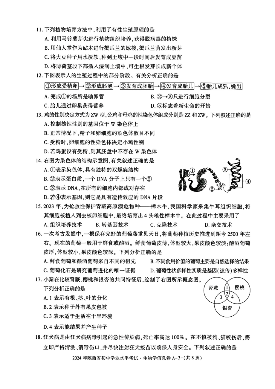 [真题]2024年陕西省中考生物试题（pdf版含解析）.pdf_第3页