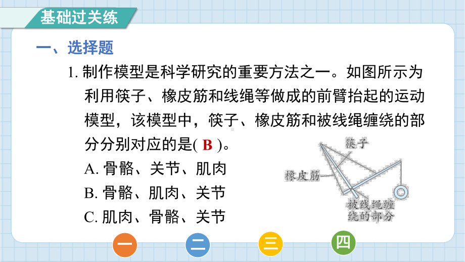 4.2 身体的运动 课件 教科版科学五年级上册.pptx_第2页