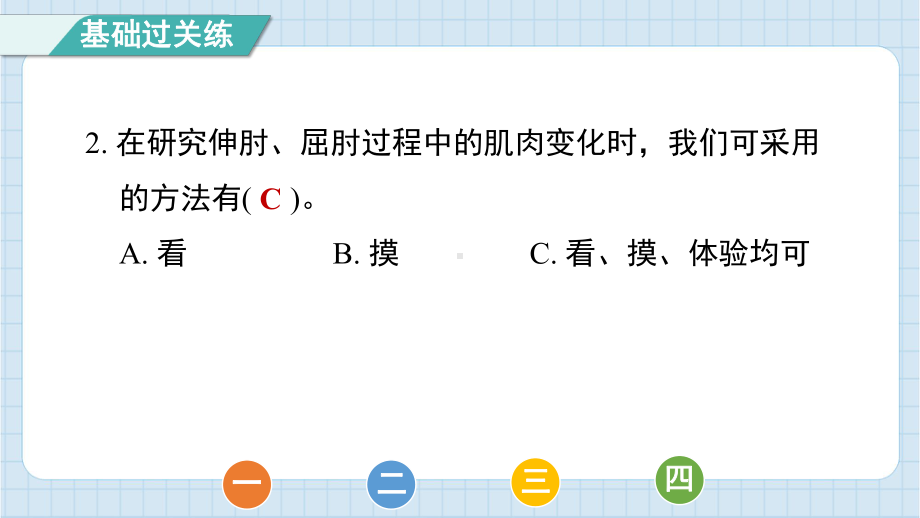 4.2 身体的运动 课件 教科版科学五年级上册.pptx_第3页