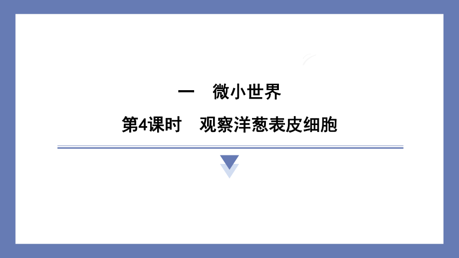 1.4观察洋葱表皮细胞 课件 教科版科学六年级上册.pptx_第1页