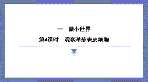 1.4观察洋葱表皮细胞 课件 教科版科学六年级上册.pptx