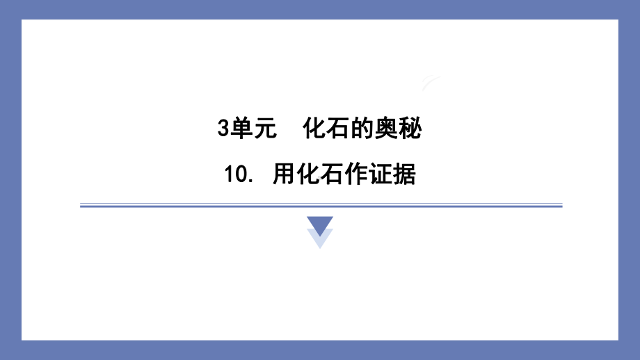 10. 用化石作证据 课件 苏教版科学六年级上册.pptx_第1页