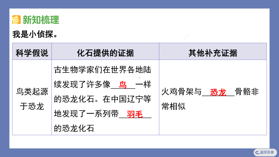 10. 用化石作证据 课件 苏教版科学六年级上册.pptx_第3页