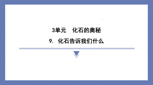 9. 化石告诉我们什么 课件 苏教版科学六年级上册.pptx