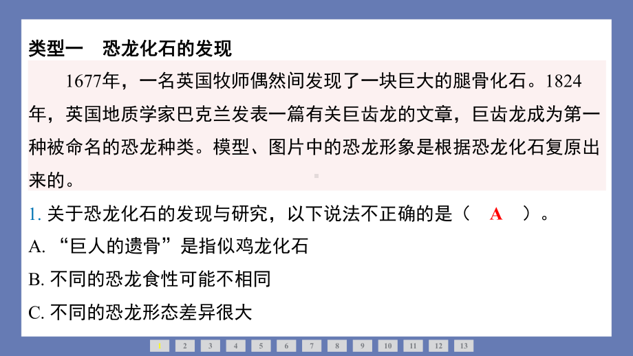 3单元化石的奥秘整合提升 课件 苏教版科学六年级上册.pptx_第2页