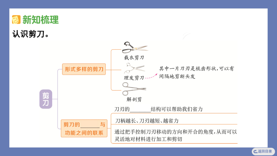 3.5灵活巧妙的剪刀 课件 教科版科学六年级上册.pptx_第3页