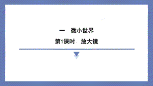 1.1放大镜 课件 教科版科学六年级上册.pptx