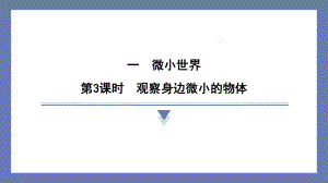 1.3观察身边微小的物体 课件 教科版科学六年级上册.pptx