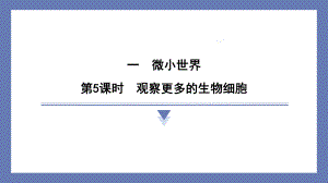 1.5观察更多的生物细胞 课件 教科版科学六年级上册.pptx