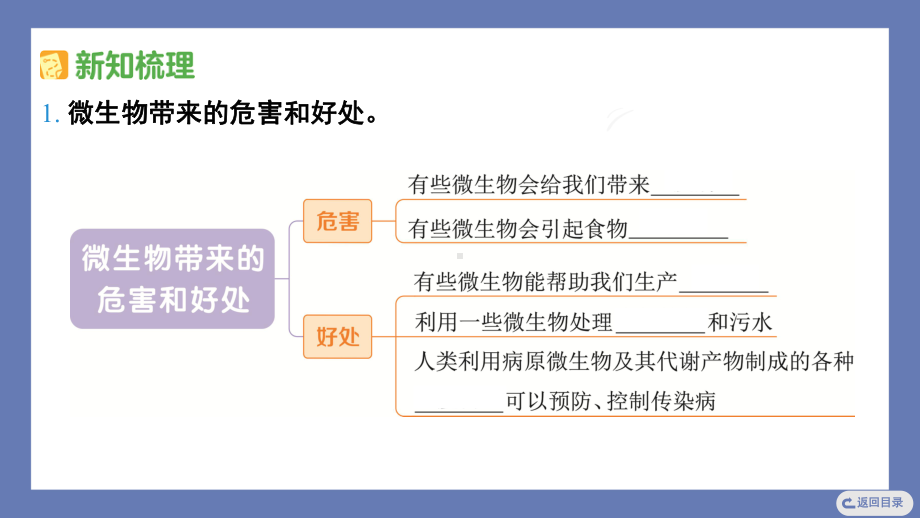 1.7微生物与健康 课件 教科版科学六年级上册.pptx_第3页