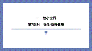 1.7微生物与健康 课件 教科版科学六年级上册.pptx