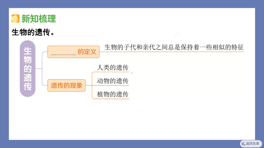 5. 生物的遗传 课件 苏教版科学六年级上册.pptx_第3页