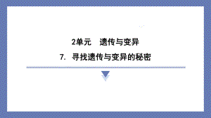 7. 寻找遗传与变异的秘密 课件 苏教版科学六年级上册.pptx