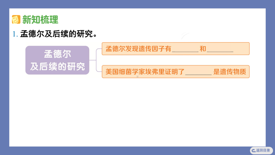 7. 寻找遗传与变异的秘密 课件 苏教版科学六年级上册.pptx_第3页