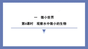 1.6观察水中微小的生物 课件 教科版科学六年级上册.pptx