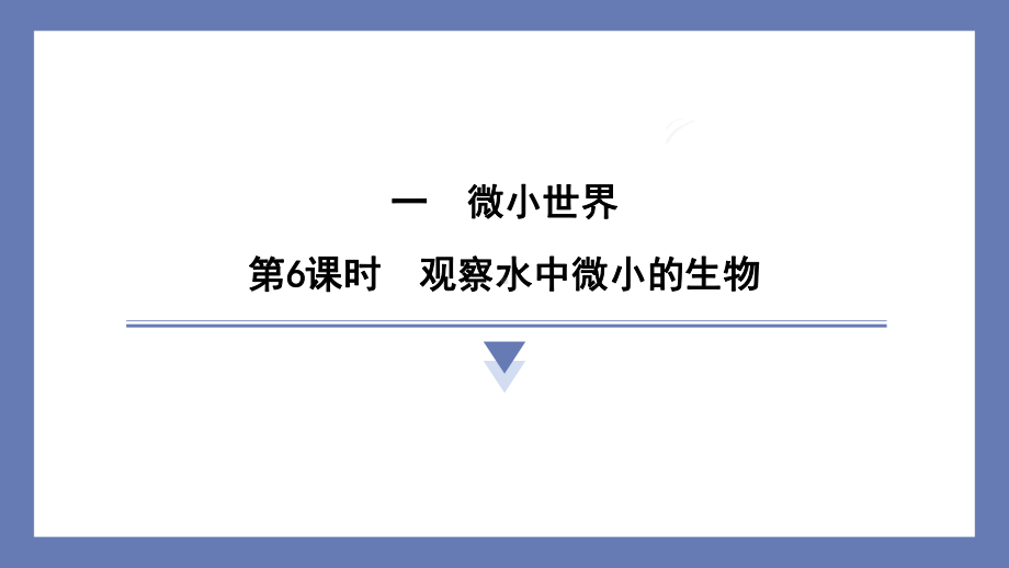 1.6观察水中微小的生物 课件 教科版科学六年级上册.pptx_第1页