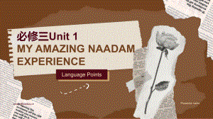 Unit1 Festivals and Celebrations Reading for Writing 语言点（ppt课件）-2024新人教版（2019）《高中英语》必修第三册.pptx