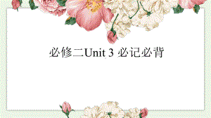 Unit 3 The Internet 必记必背（ppt课件）-2024新人教版（2019）《高中英语》必修第二册.pptx