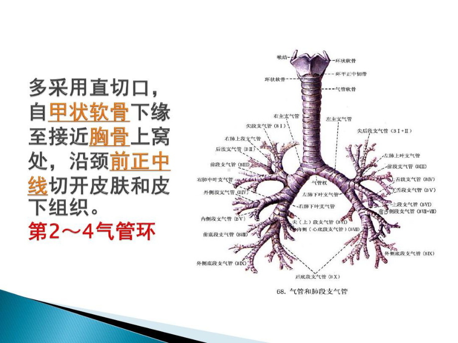 气管内吸痰.ppt_第2页